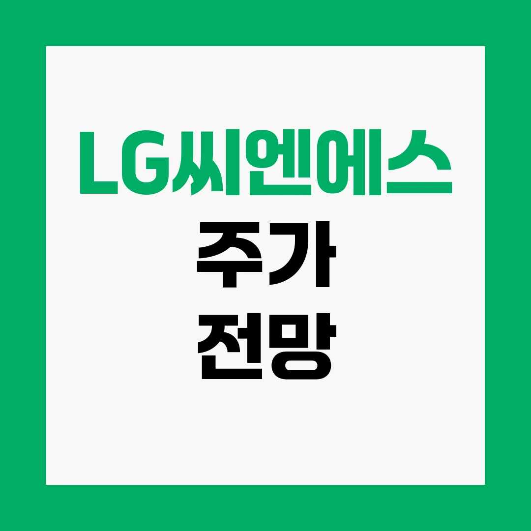 LG씨엔에스 주가 전망