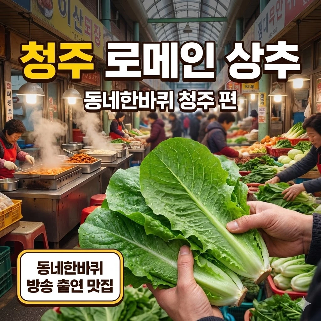 동네한바퀴 청주 로메인 상추