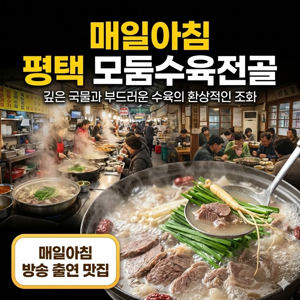 매일아침 평택 모둠수육전골