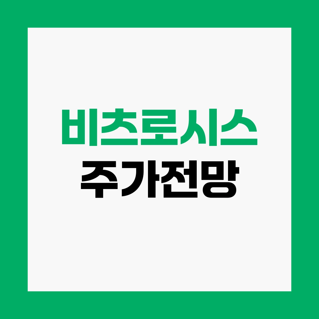 비츠로시스 주가전망