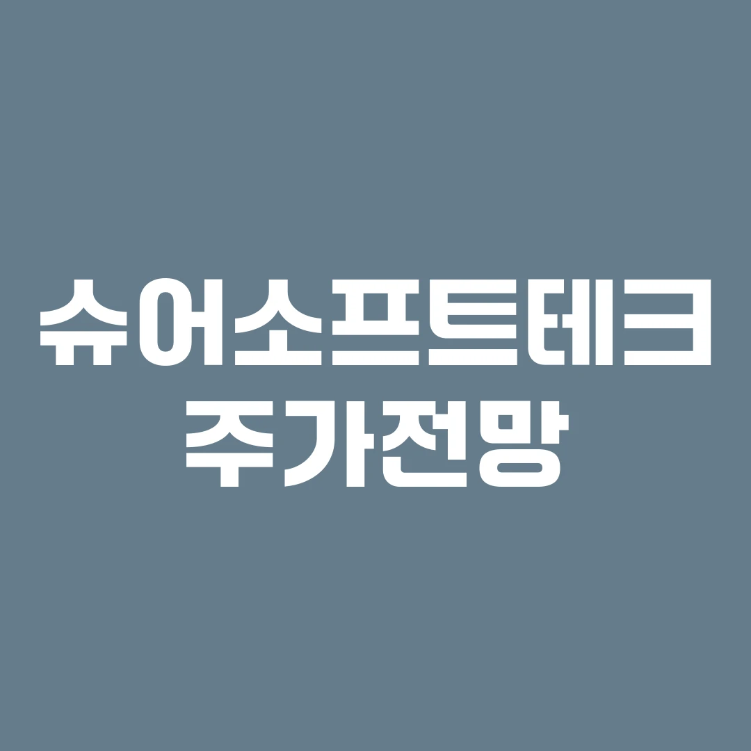 슈어소프트테크 주가전망