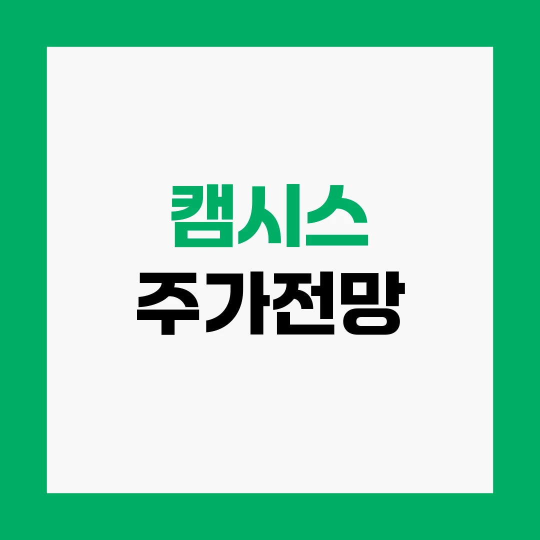 캠시스 주가전망