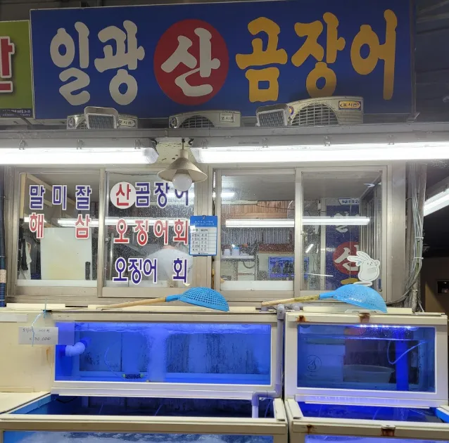 6시내고향 부산 좌동재래시장 양념곰장어