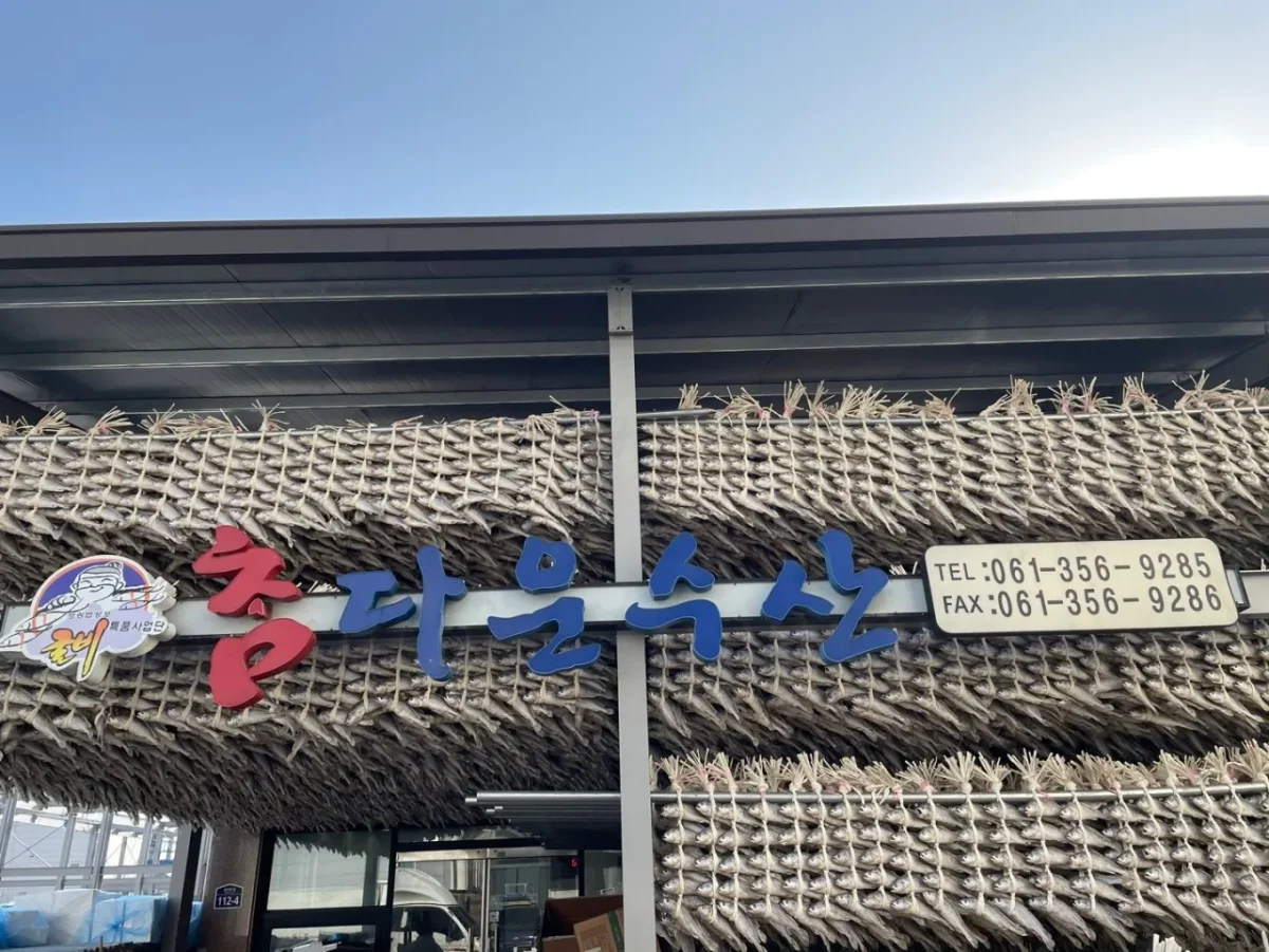 6시내고향 영광 법성포 굴비