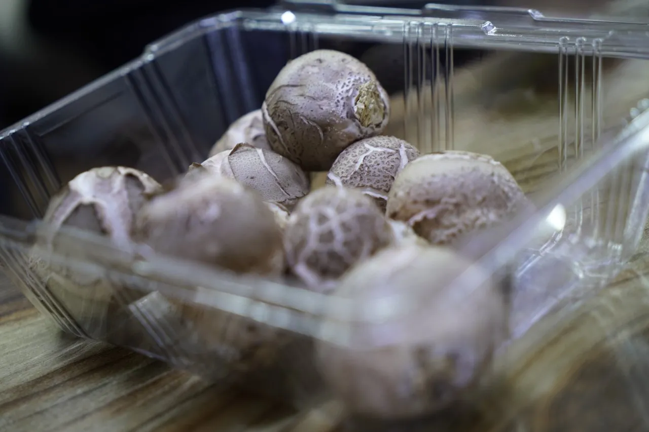 6시내고향 정선시장 표고버섯메밀전병