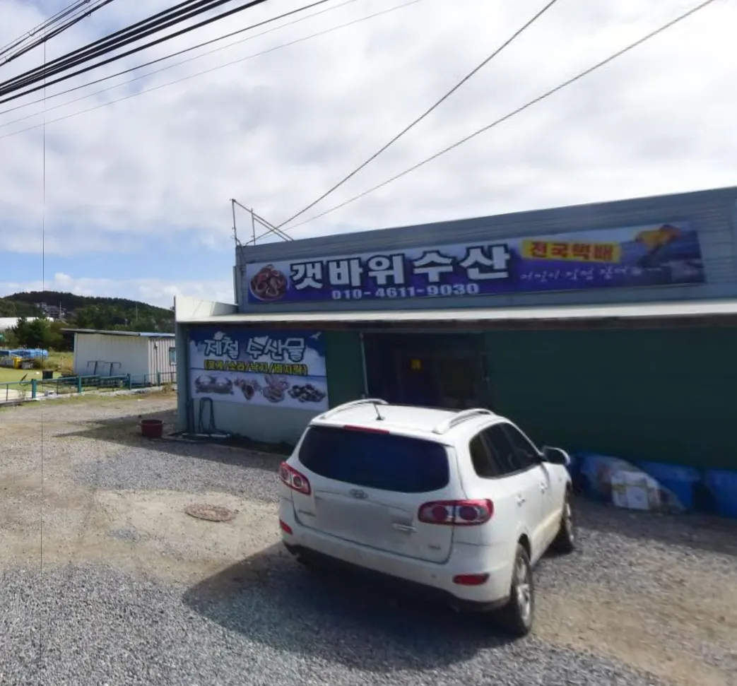 6시내고향 태안 대맛조개