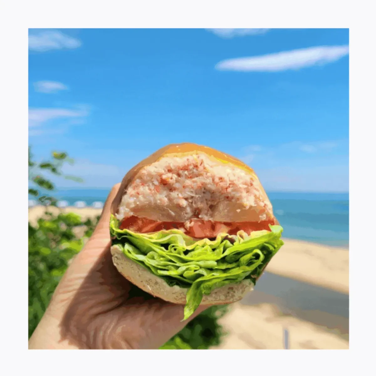 동네한바퀴 속초 설악로데오거리 홍게 샌드위치