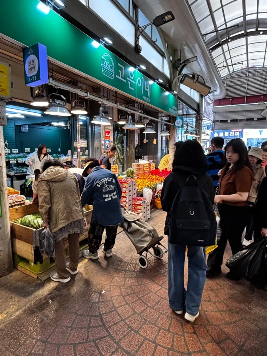 생방송투데이 가성비 두바이 초코 붕어빵