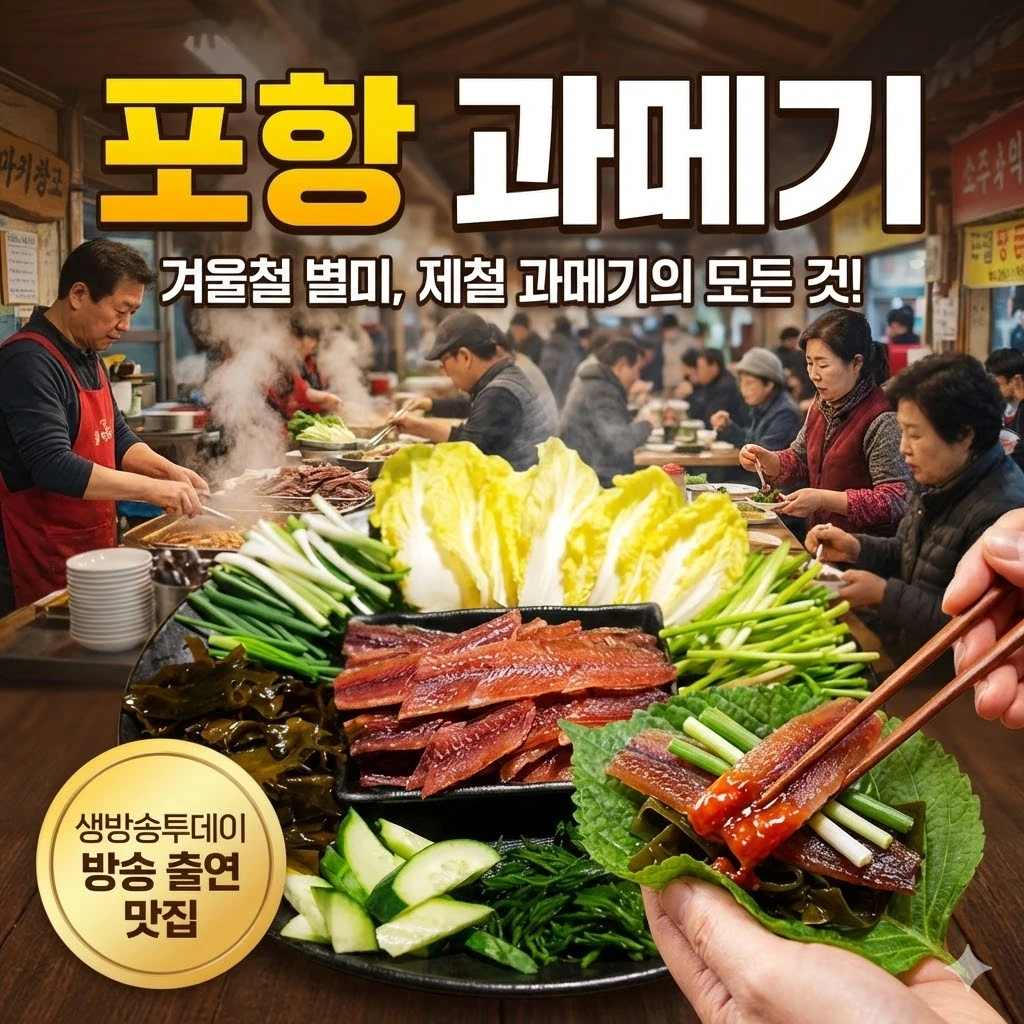 생방송투데이 포항 과메기