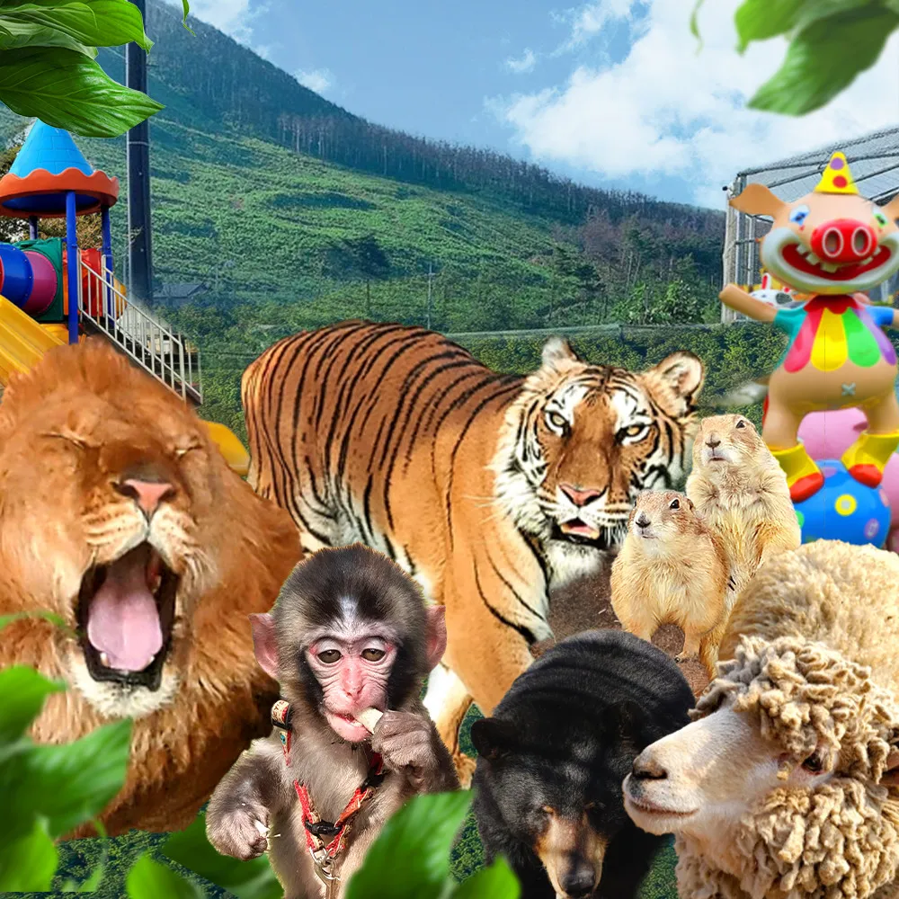 생생정보 강릉 동물원