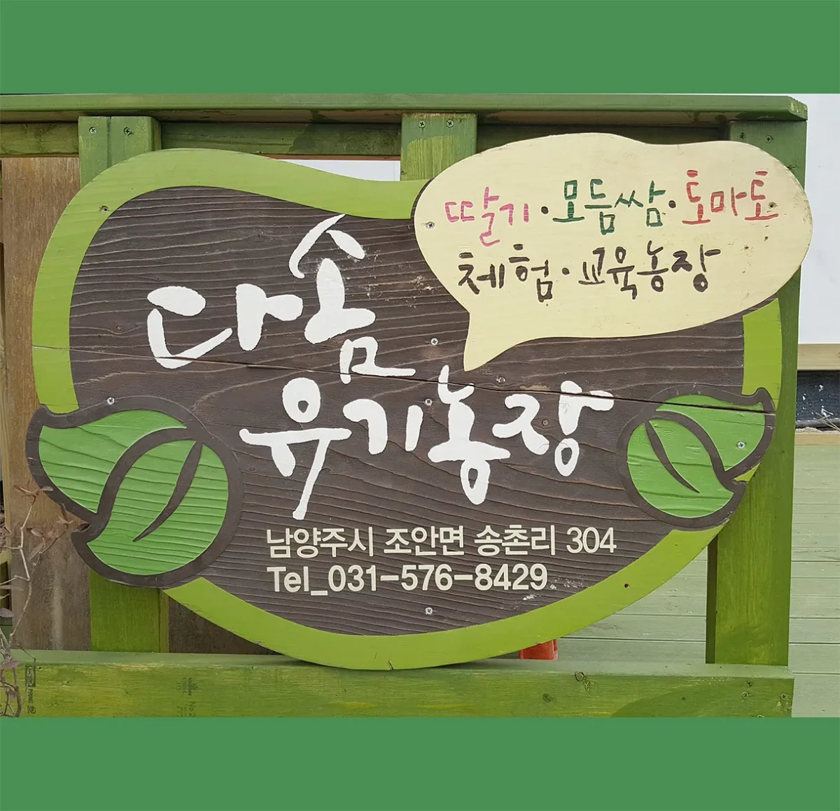 생생정보 남양주 딸기농장