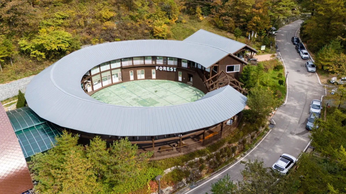 생생정보 횡성 숲속힐링숙소