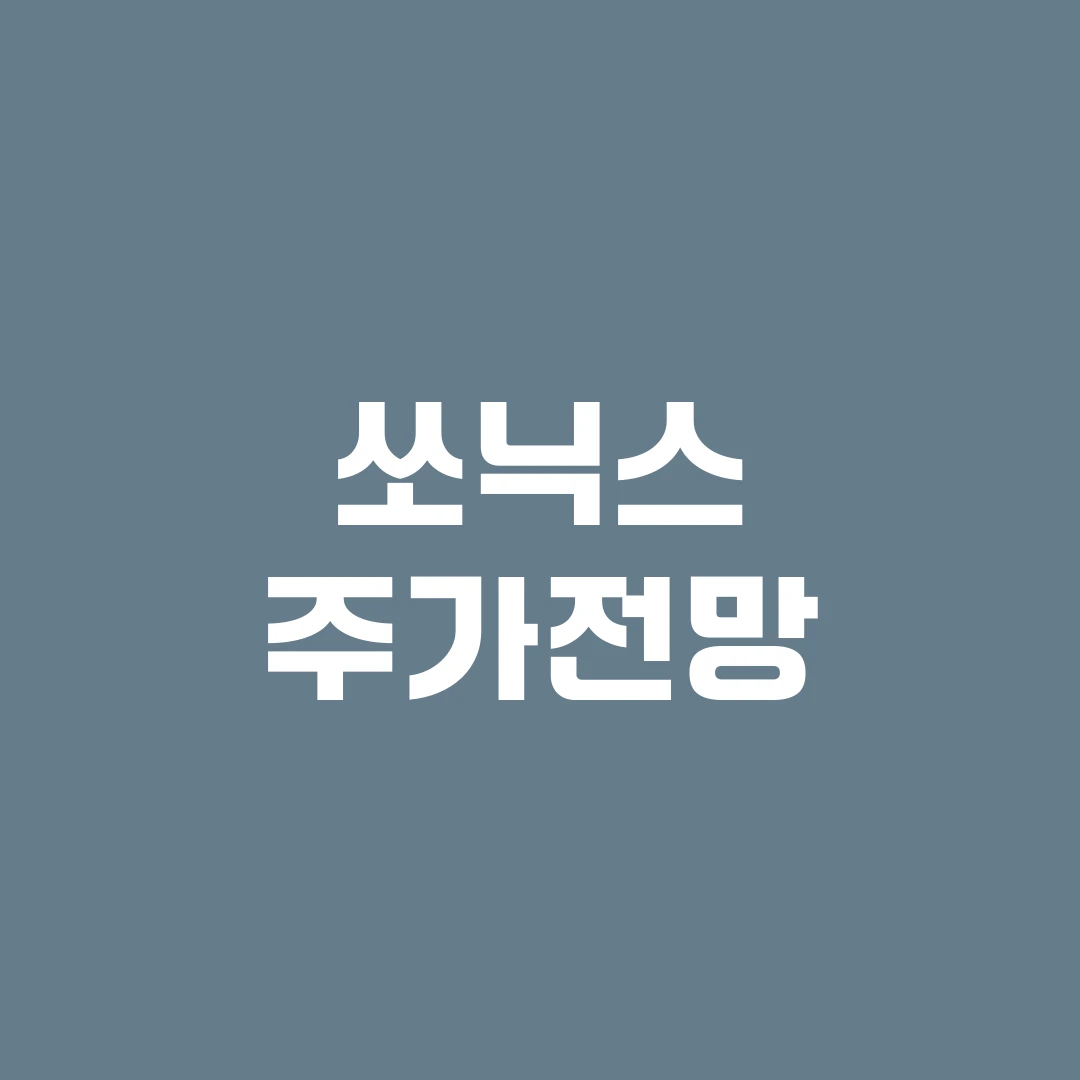 쏘닉스 주가전망