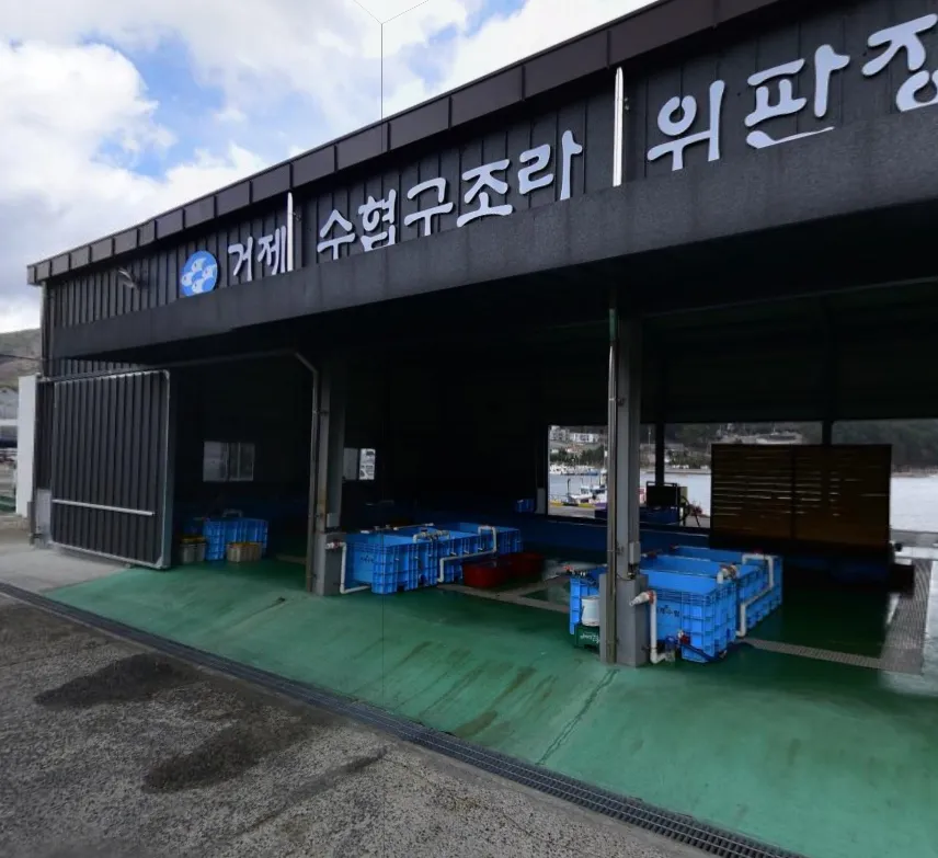 오늘N 경남 거제 수산물