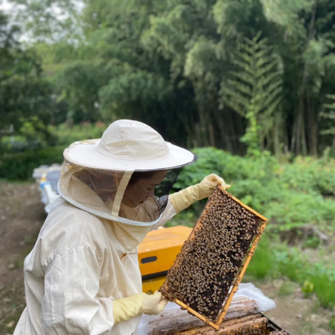 오늘N 영천 꿀벌농장