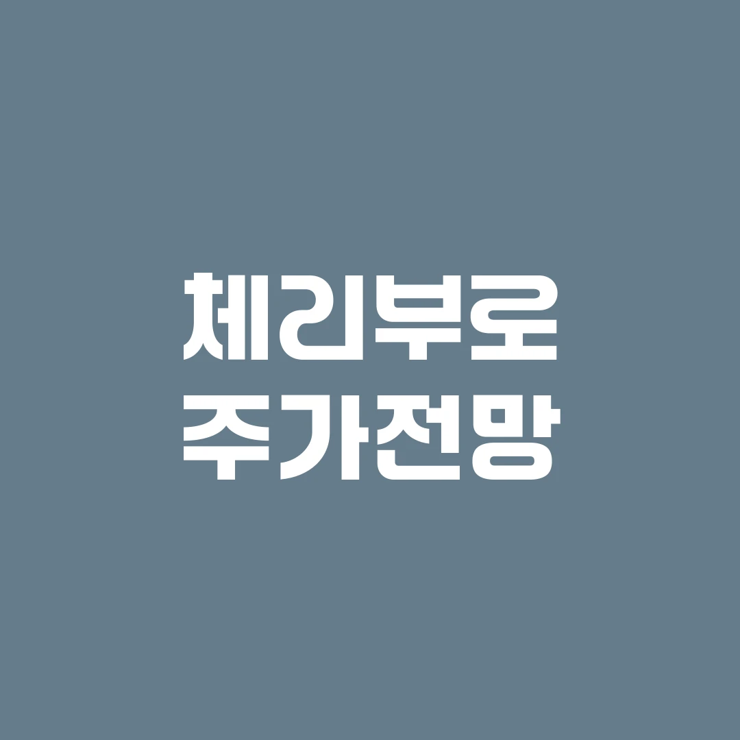 체리부로 주가전망