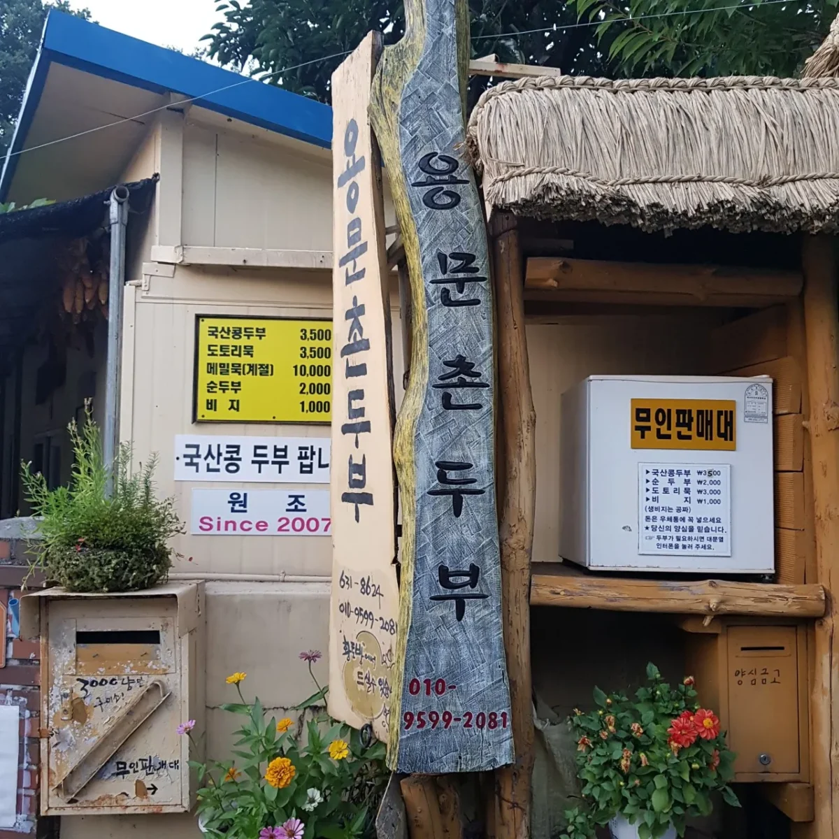 6시내고향 대구 손두부 판매