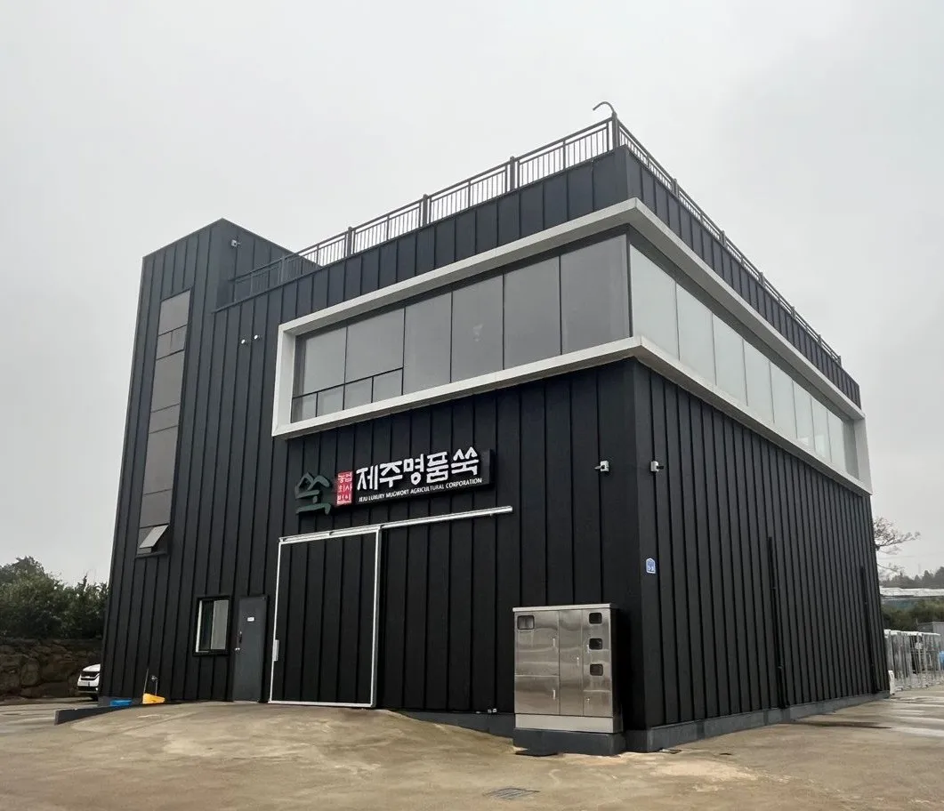 6시내고향 제주 쑥