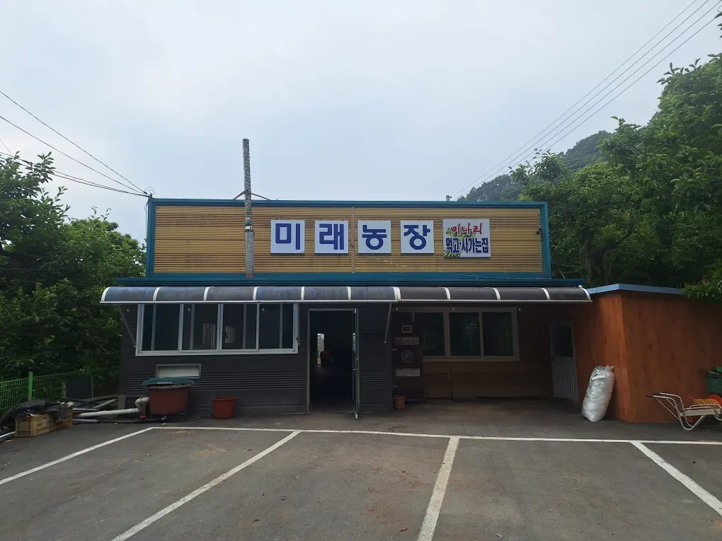 6시내고향 청도 미나리 택배