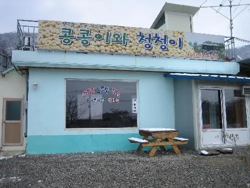 백반기행 논산노포밥상 손두부