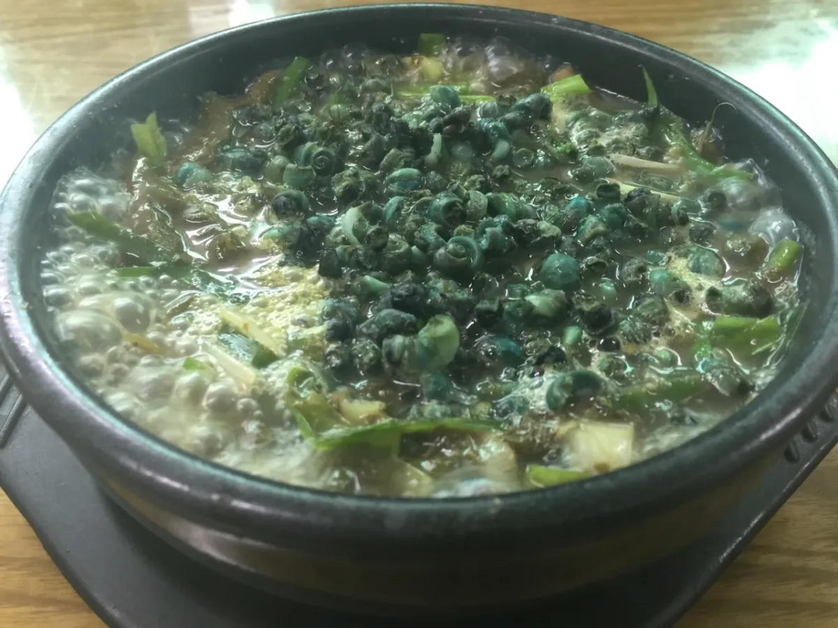 생방송투데이 영월 다슬기