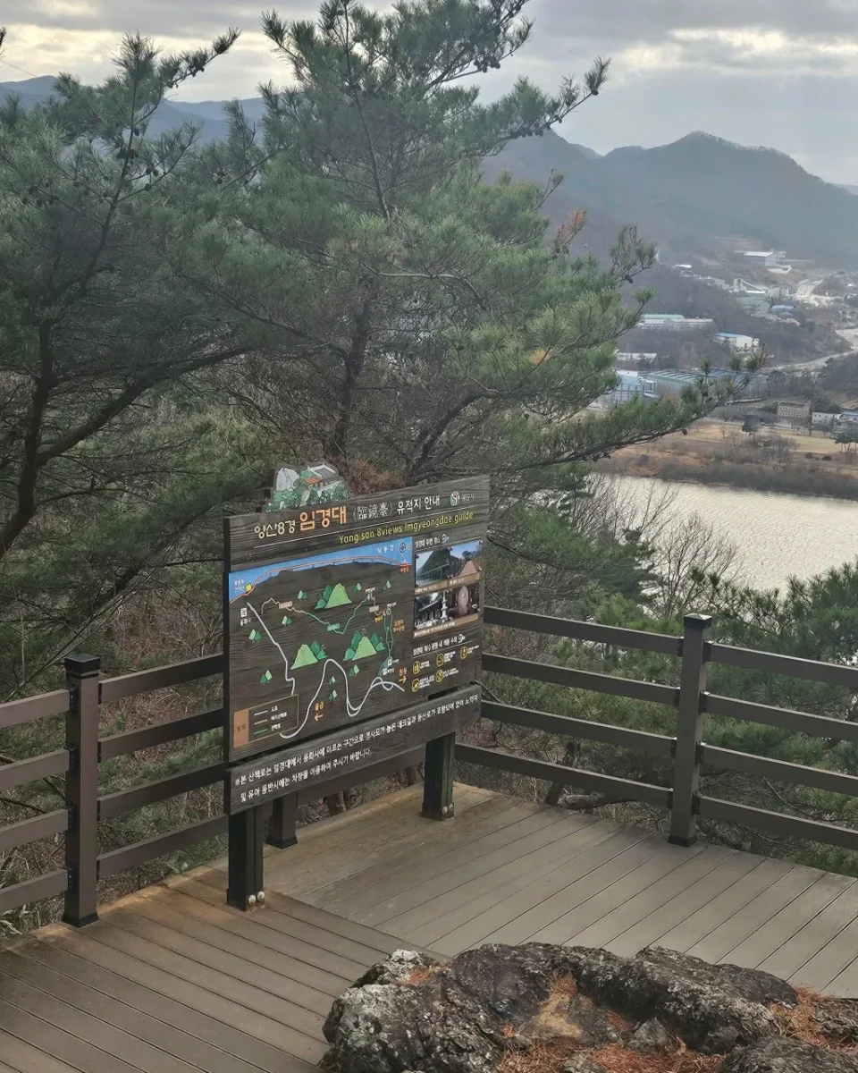 생방송투데이 임경대