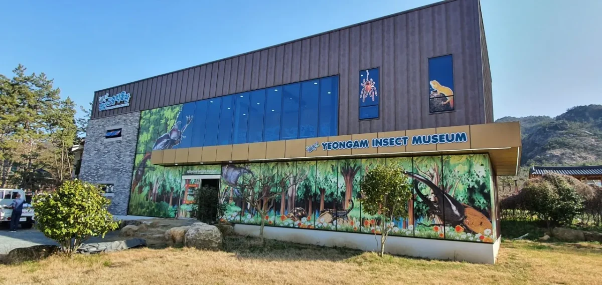 생방송투데이 청년사장 영암곤충박물관