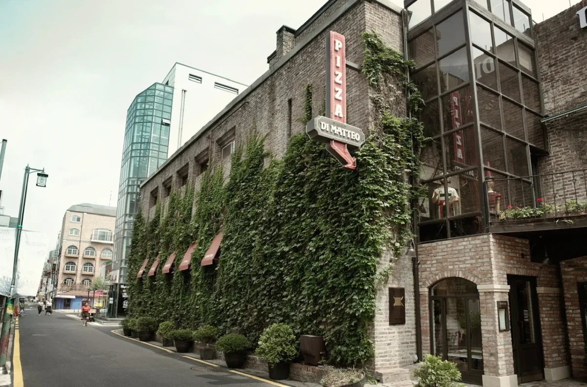 생방송투데이 혜화동 이원승피자