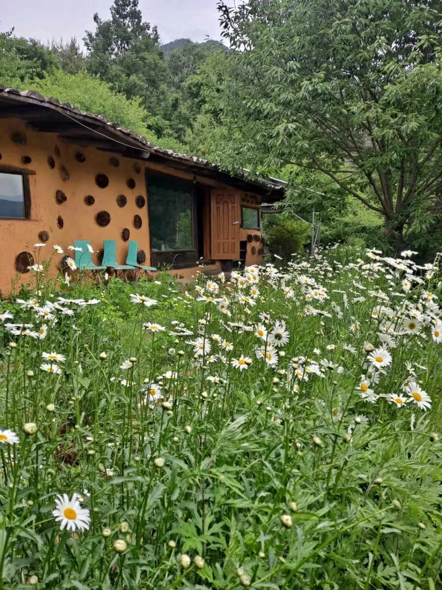 생생정보 남원 촌캉스