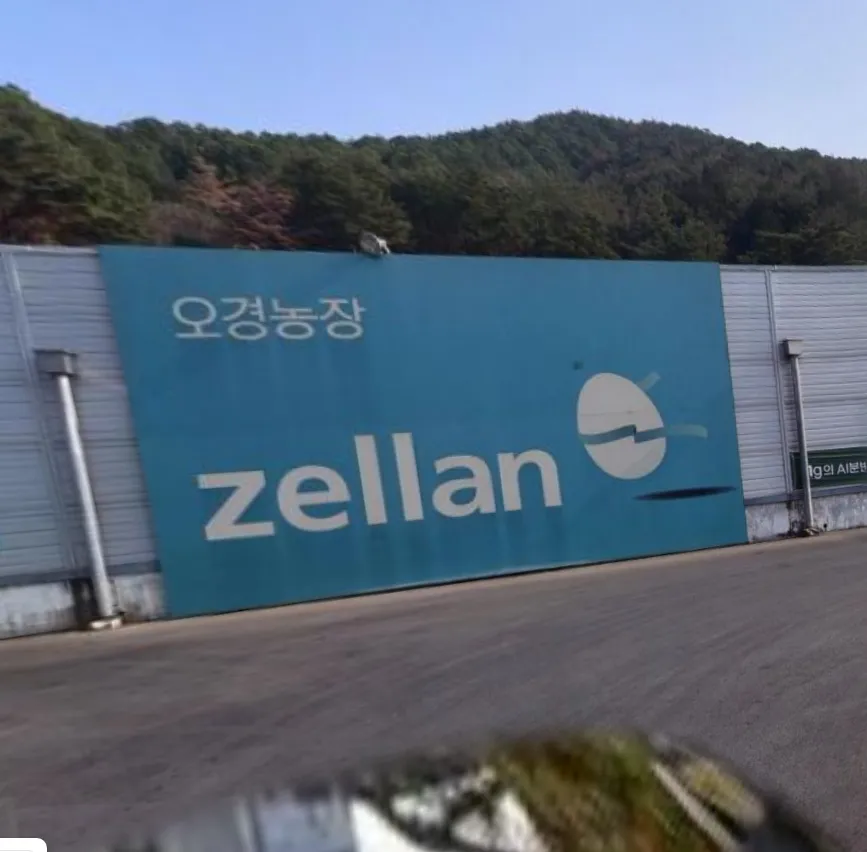 오늘N 양산 달걀농장