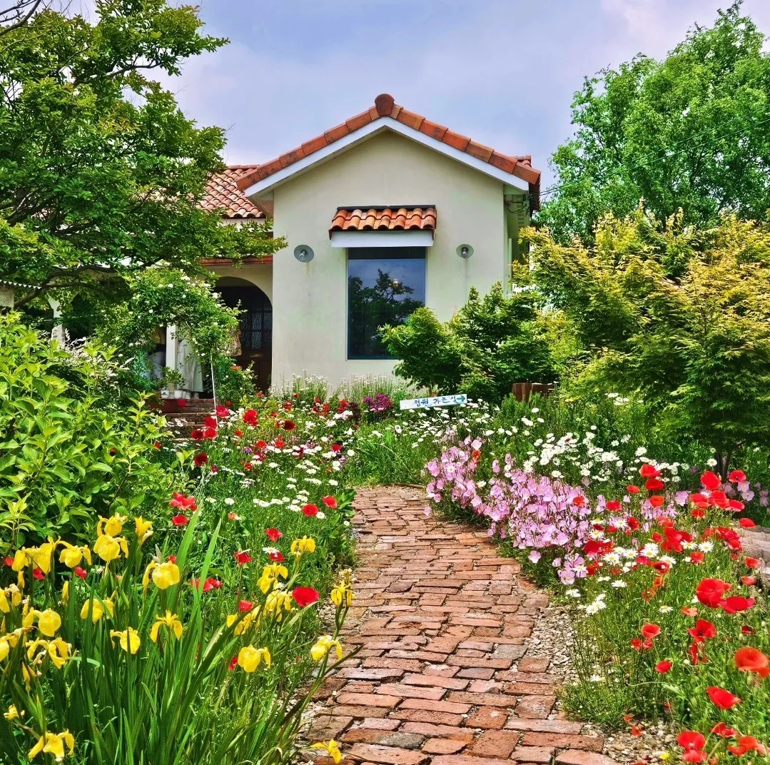 오늘N 전북 고창 카페 디저트