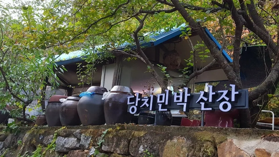 오늘엔 구례 닭구이